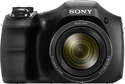 Sony DSC-H100 digital camera